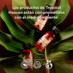 Cajas Tropical Haven - Image 5