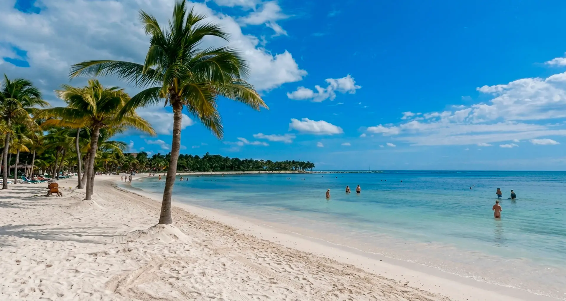 Haz que tu hotel sea inolvidable desde el primer detalle